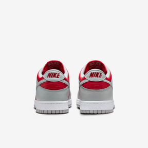 Nike Dunk Low Varsity Red and Silver